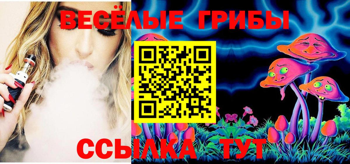 Псилоцибиновые грибы Psilocybe  Псилоцибиновые грибы Psilocybe  Оренбург  как найти   Вход с VPN 